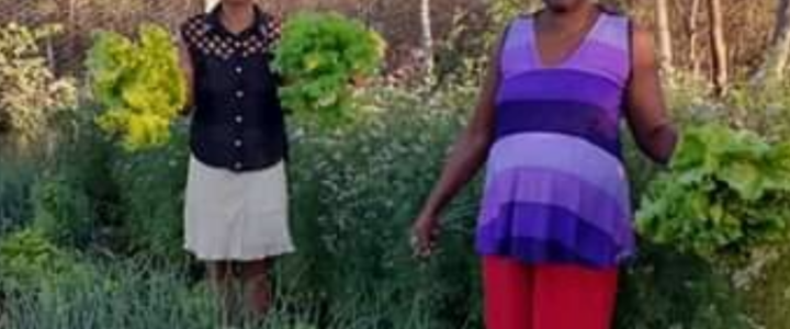 Soberania Alimentar na Agricultura Familiar em Tempos de Pandemia Muda a Rotina de Mulheres Trabalhadoras Rurais do Município de Coração de Jesus-MG