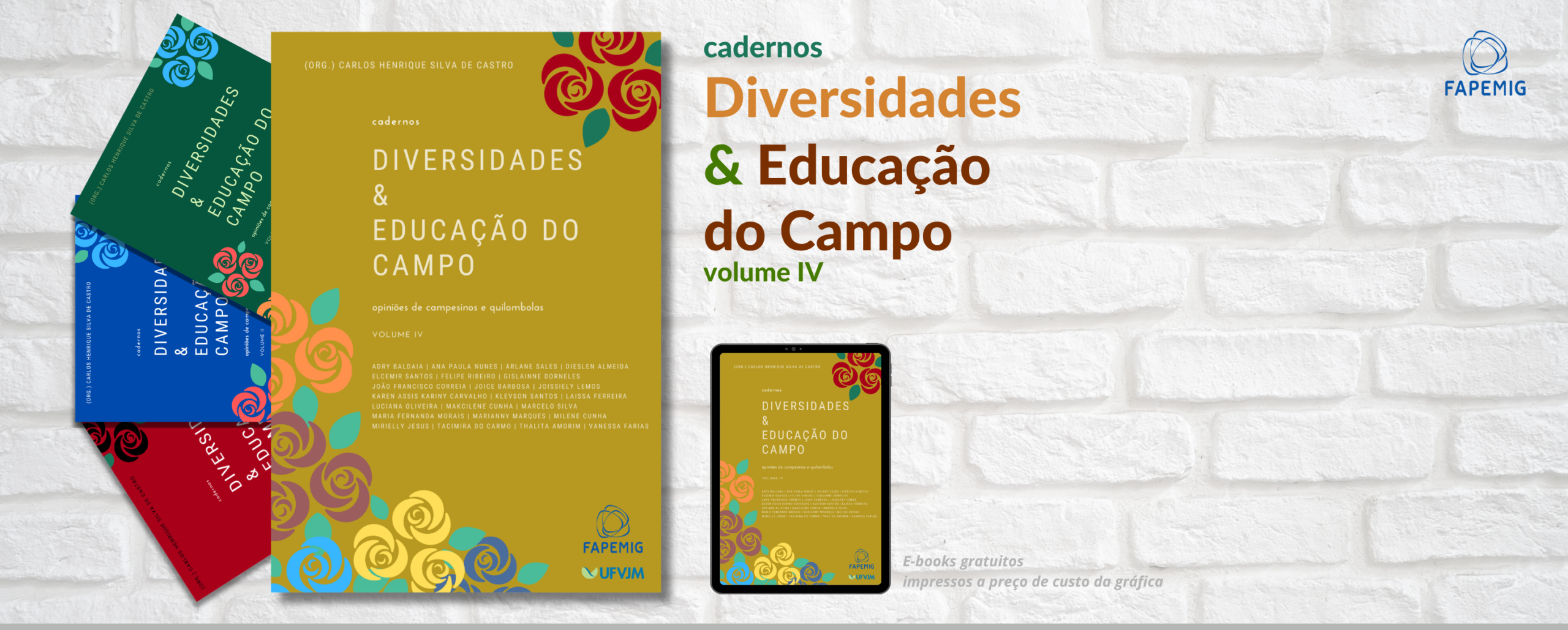 OPINIÕES DE CAMPESINOS E QUILOMBOLAS